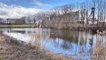 Slib van toekomstige zwemvijver in Thor Park vervuild: “1.500 ton verwijderen en verwerken”