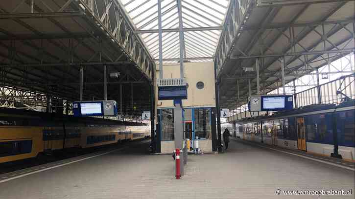 Boa krijgt kaakslag op station: dader gaat maanden de cel in