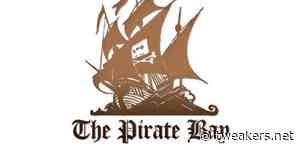 The Pirate Bay-investeerder Carl Lundström komt om bij vliegtuigongeluk