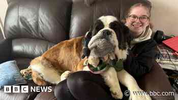 Teen 'very happy' after winning award at Crufts