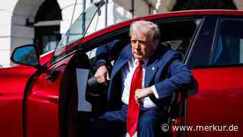 Vom Präsidenten zum Autohändler: Trump nennt Musk-Demonstranten inländische Terroristen