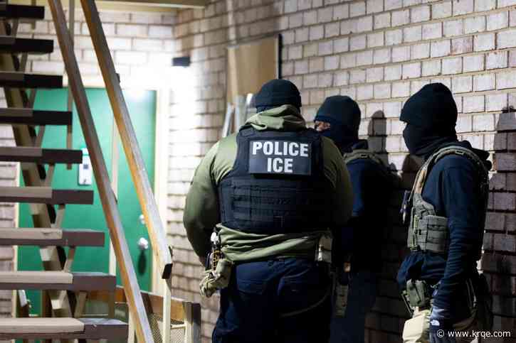 ICE head accuses Biden administration of 'cooking the books' on arrests