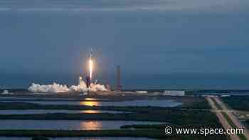 SCRUB! Watch a SpaceX rocket launch Crew-10 relief mission for NASA astronauts on ISS after delay [update]