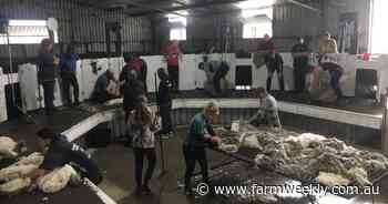 Woolgrowers encouraged to take a sticky beak at AWI training in action