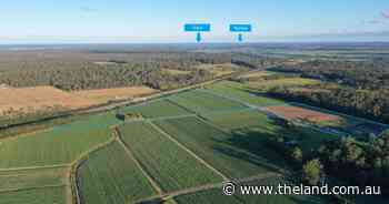 Versatile coastal farm with handy access to Yamba, Iluka beaches | Video