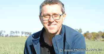 Finding grain breeding lines for future resilience taking global search