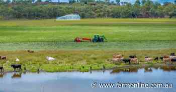 Productive irrigation farm Glenelle with frontage to Barambah Creek | Video