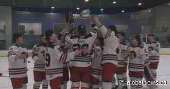Shaftesbury Titans claim high school hockey title