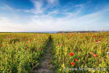 Biodiversity net gain still an opportunity for farmers, research says