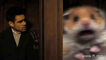 small caged mammal confessions