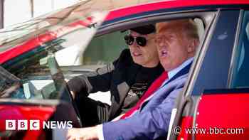 Trump says anti-Tesla protesters will face 'hell'