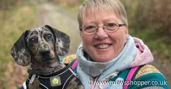 Four-month-old dachshund makes full lungworm recovery thanks to Surrey vets