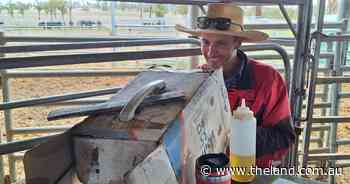 Imagine scanning 15,000 head a year, that's what it takes to boost beef