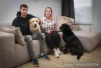 Asielhond Hugo is na meer dan drie jaar geadopteerd: “Ons hart brak toen we hem zagen”