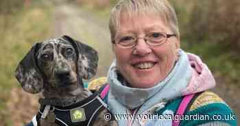 Four-month-old dachshund makes full lungworm recovery thanks to Surrey vets