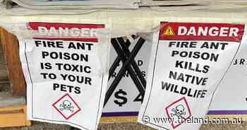 Flood fodder ban for Queensland exports as NSW Government ramps up fire ant control