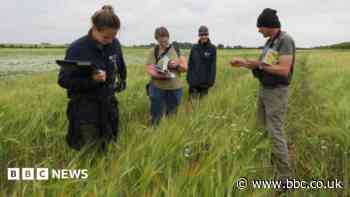 Hopes East West Rail will accept land's new status