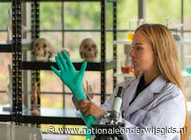 Hogescholen hebben meer onderzoekers in dienst