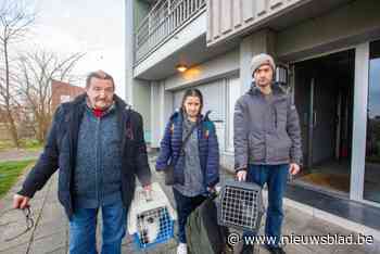 “Op kousen en op de tast naar buiten”: ondanks totale chaos konden 72 bewoners vlot geëvacueerd worden na appartementsbrand