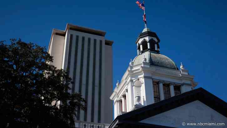 Florida Republicans push to lower gun-buying age to 18, overturn measure implemented after Parkland shooting