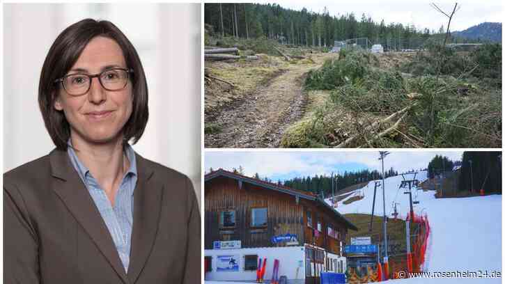 Baumfällung am Götschen wirft Fragen auf – Anwältin: „Das alles hat ein komisches Geschmäckle“