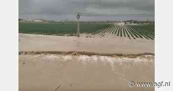 Weinig vollegrondsgroenten uit Murcia