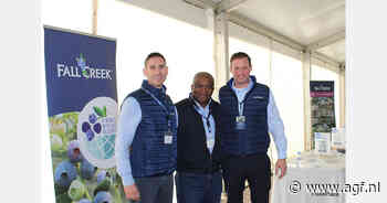 Heden en toekomst van de Zuid-Spaanse blauwe bessensector