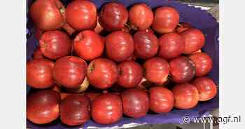 "Prijzen Poolse Red Delicious bereikten hoogtepunt"
