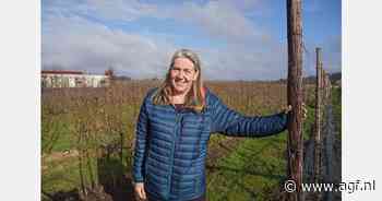 "Groen is mooi, maar zonder chemie gaan we het echt niet redden"