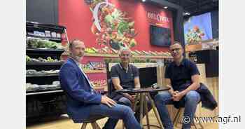 "Start Ramadan zorgt voor mooie vraag naar Elite-trostomaten"