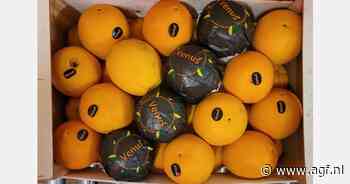"Al drie weken geen sinaasappels ontvangen"