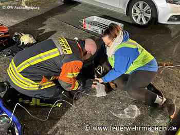 36 AGT bekämpfen Gebäude-Vollbrand