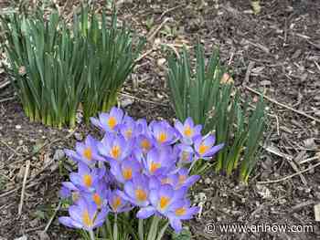 Morning Notes for March 13, 2025