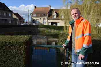 Graskarpers moeten Vateput proper houden: “Duurzame optie voor bestrijden van onkruid en overtollige waterplanten”