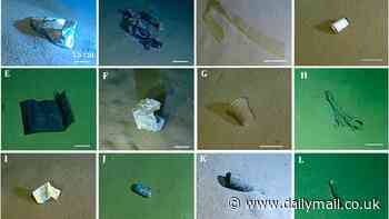 Europe's deepest garbage dump: Scientists discover plastic bags and cans littered across the Calypso Deep - a trench 16,770ft below the surface of the Mediterranean Sea