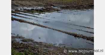 Bodemverdichting in Vlaanderen: Oorzaken, gevolgen en oplossingen