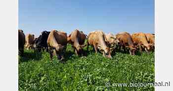 1001ha korting op zaadmengsels, bomen en biodiverse akkers