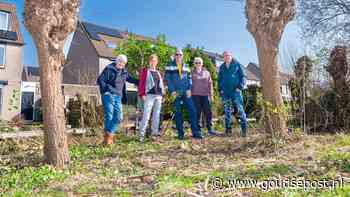 Bewoners verbaasd na snoeien stukje groen voor hun deur dat zij zelf onderhielden: ‘Tot vorige week een klein paradijs’