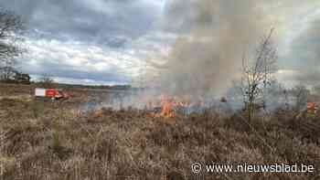 Brand dient als onderhoudsbeurt voor de heide in Maasmechelen: brandweer ter plaatse