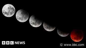 'Blood moon' lunar eclipse to grace pre-dawn sky in the UK