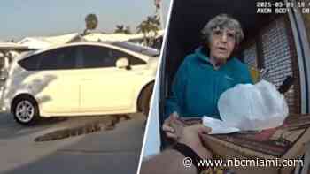 Video shows 8-foot gator interrupt pizza delivery in Florida