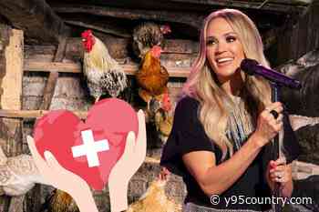 Carrie Underwood Shares an Update After Scary Health Crisis on the Farm