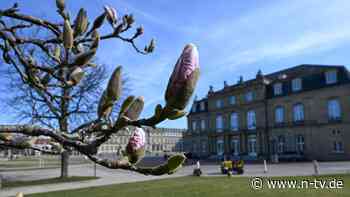 Bis zu 20 Grad in Aussicht: Nach dem Schmuddel-Winter kommt das sonnige Frühlingshoch