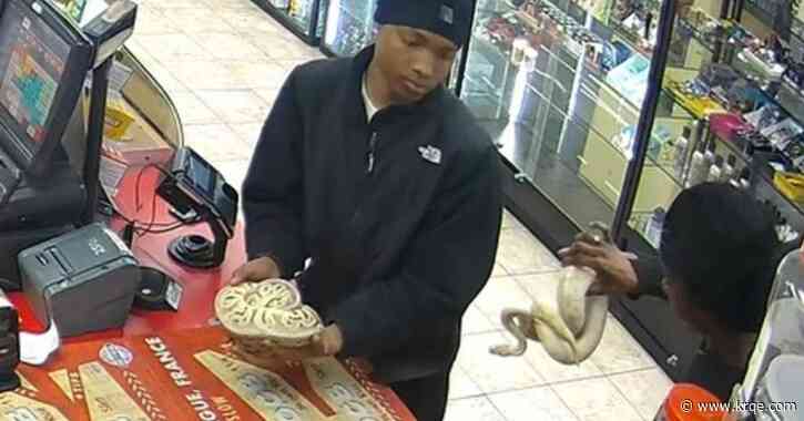 Men with pythons wanted for Tennessee gas station theft