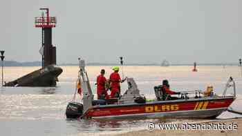 14 Ertrunkene in einem Jahr – Elbe ist besonders gefährlich