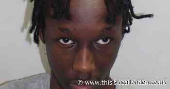 Teenager jailed for life for Elianne Andam murder over teddy bear row