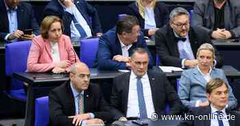 Großspende an AfD: Bundestag beschäftigt sich mit Geldern