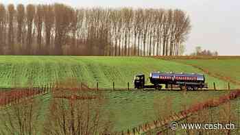 Jetzt zählen an den Märkten aktive Anlageentscheide - Sieben Schweizer Aktien im Fokus
