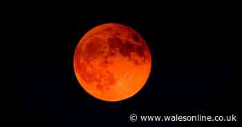 Astrophysicist explains exactly how to see the partial lunar eclipse in the UK