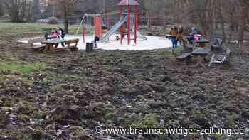 Wildschweininvasion in Lerbach: Anwohner in Sorge